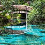 Ocala National Forest