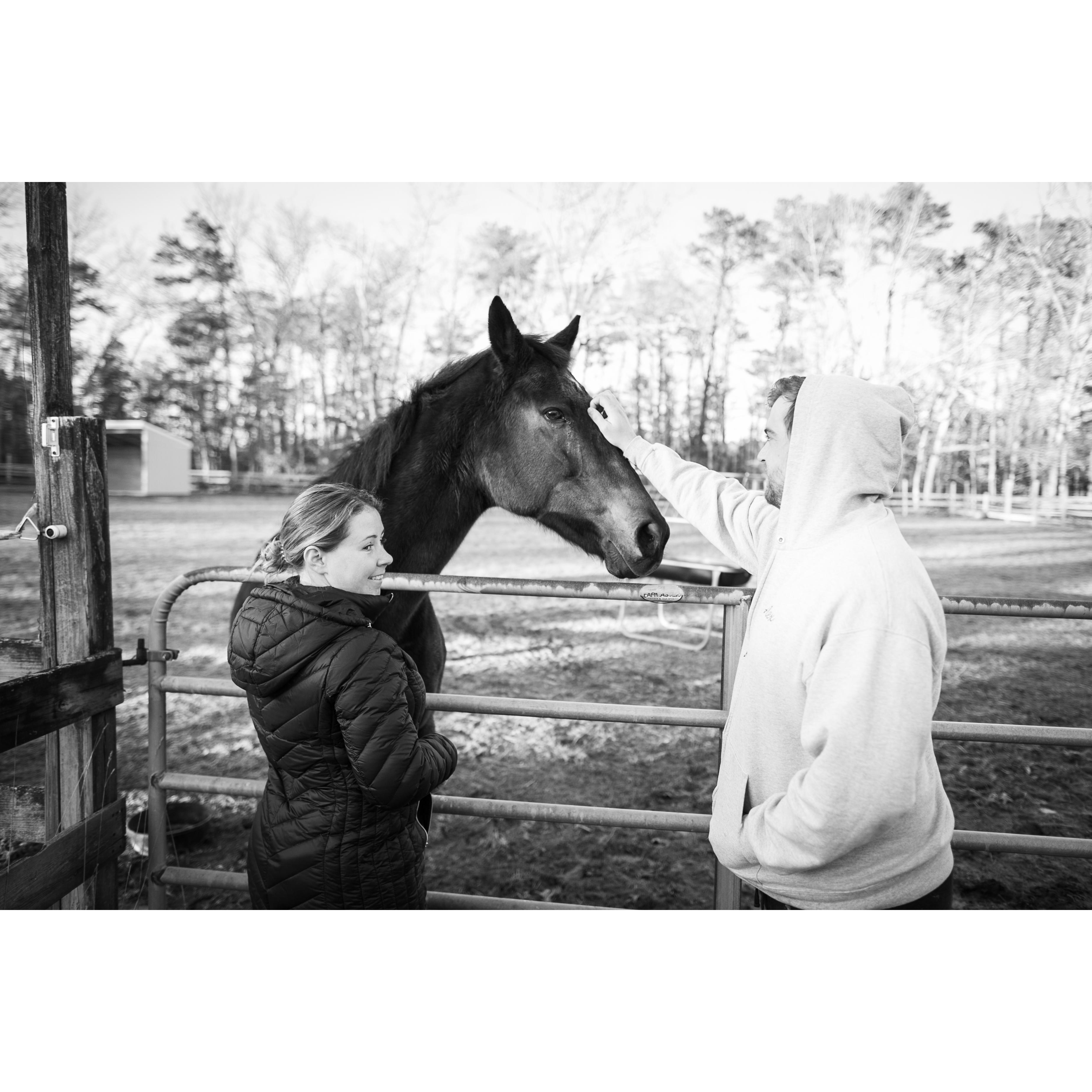 Farm Life