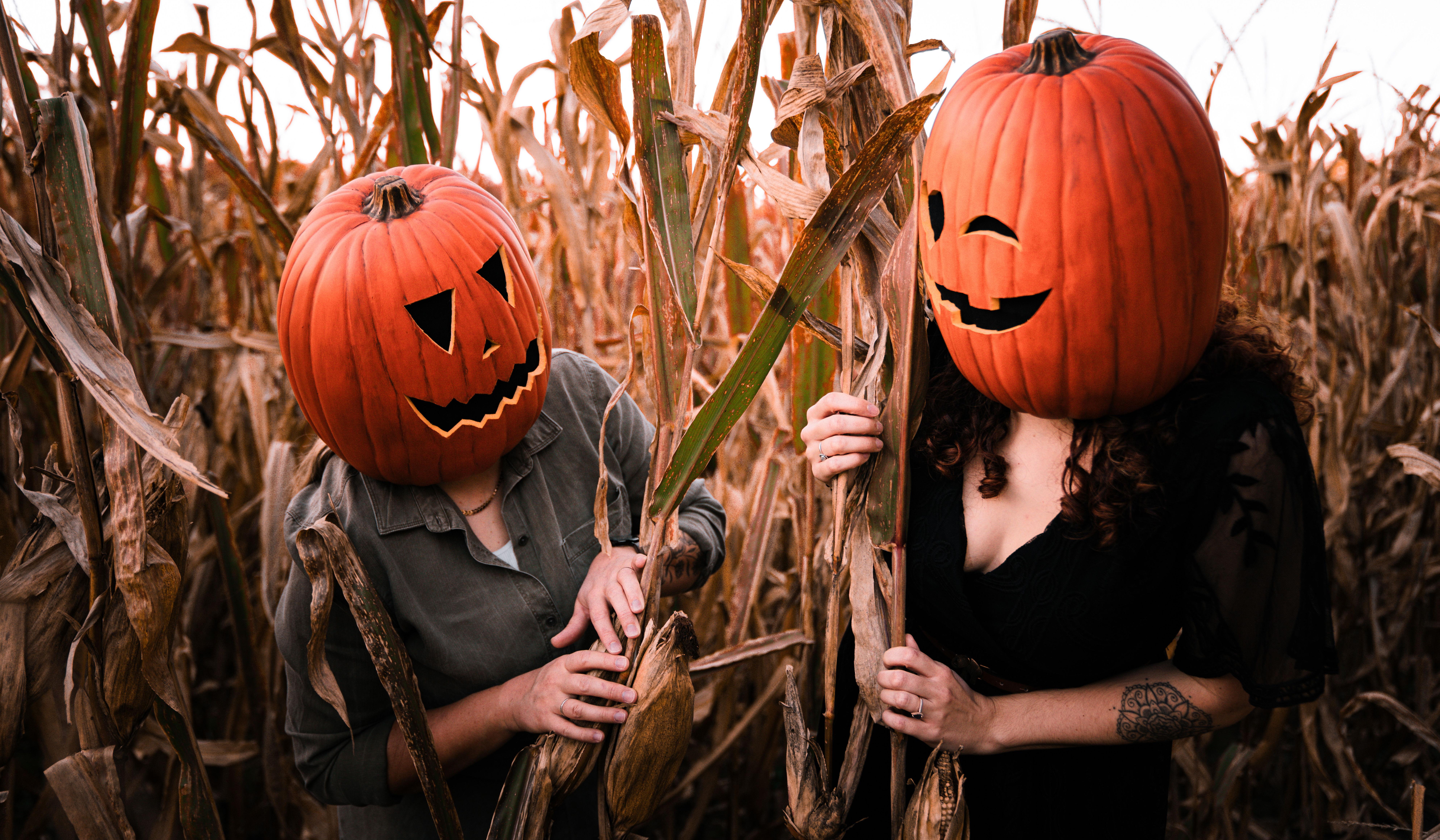 Hero Slideshow Image 3