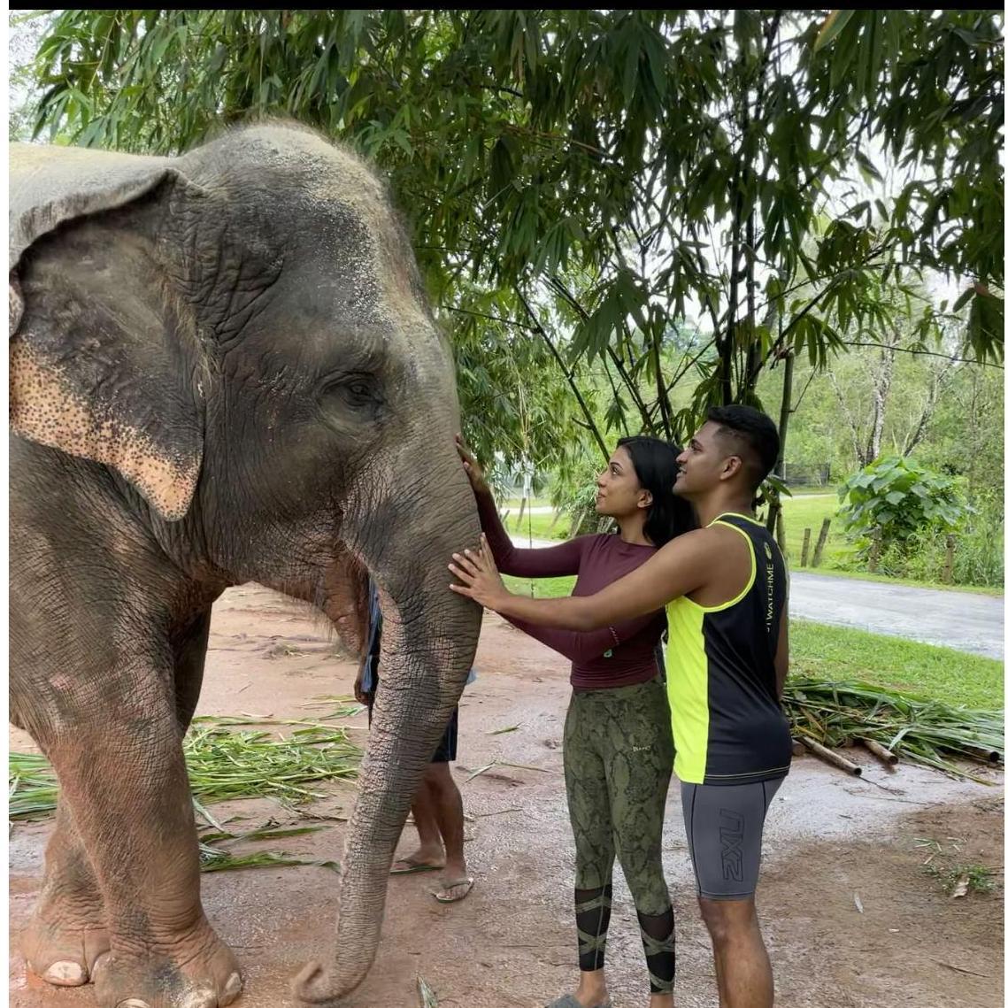 Our site visit to Phuket for the wedding was filled with surprises along the way!