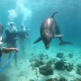 Coral World Ocean Park