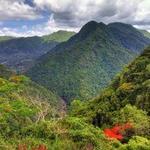 El Yunque National Forest