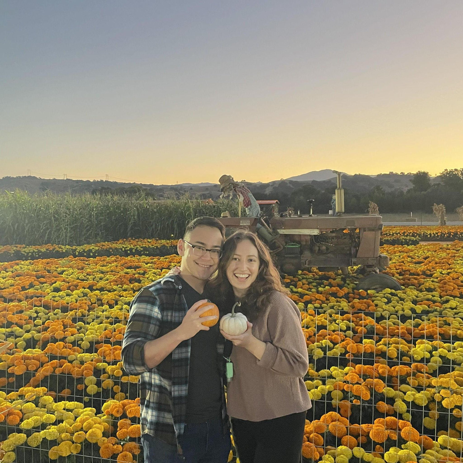 Spina Farms Pumpkin Patch