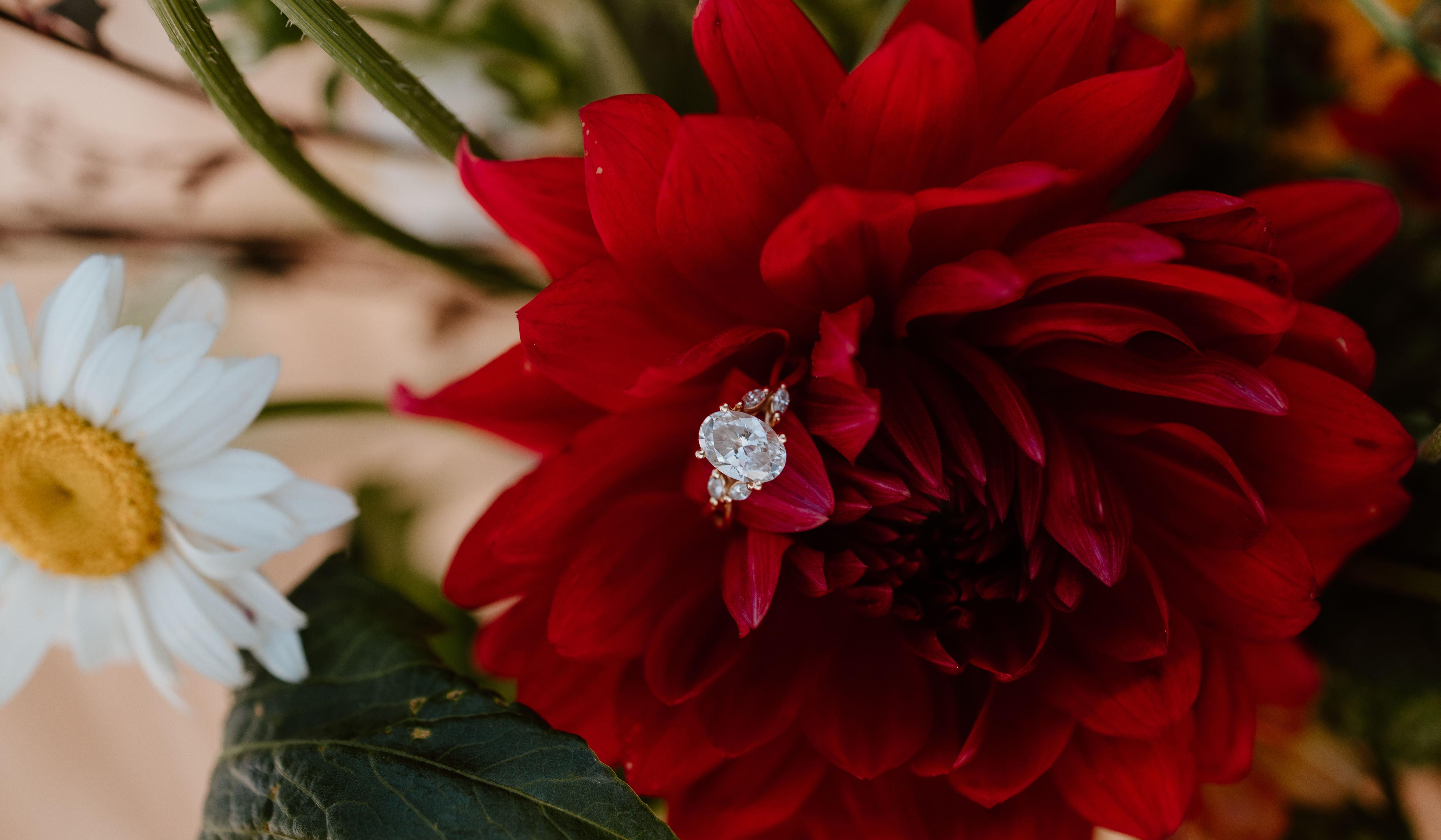 Hero Slideshow Image 5