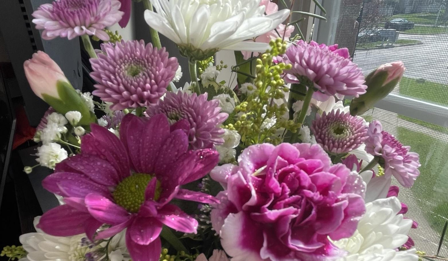 Footer image