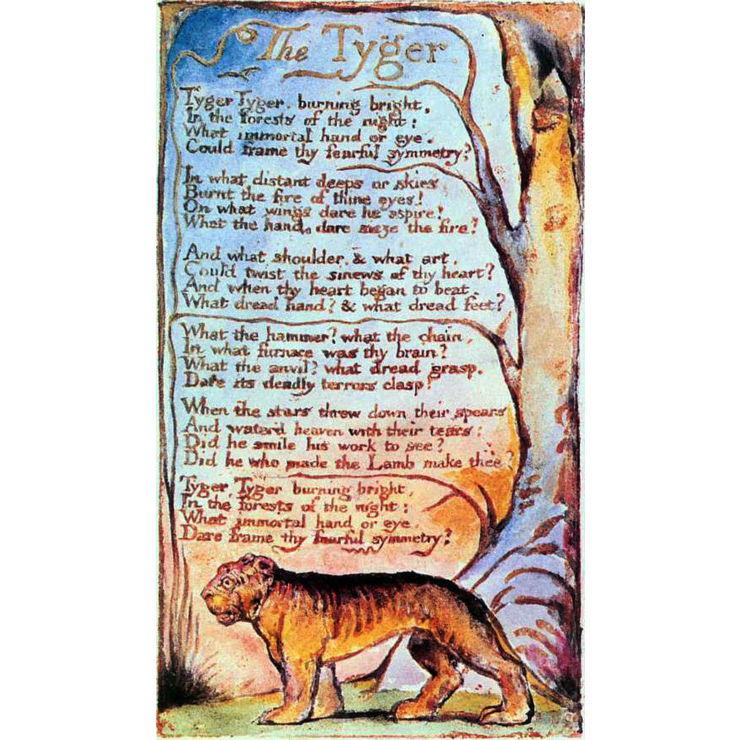 Tyger Tyger, burning bright, In the forests of the night; What immortal hand or eye, Could frame thy fearful symmetry?