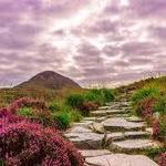 CONNEMARA
