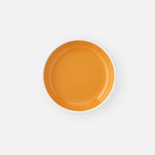 Enamelware Salad Plate