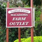 Tropical Farms Macadamia Nuts