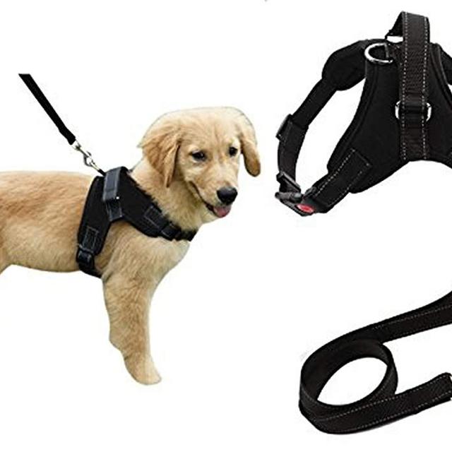 Heavy Duty Adjustable Pet Puppy Dog Safety Harness with Leash Lead Set Reflective No-Pull Breathable Padded Dog Leash Collar Chest Harness Vest with Handle for Small Medium Large Dogs Training Walking