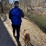 Walk Along the Delaware Canal