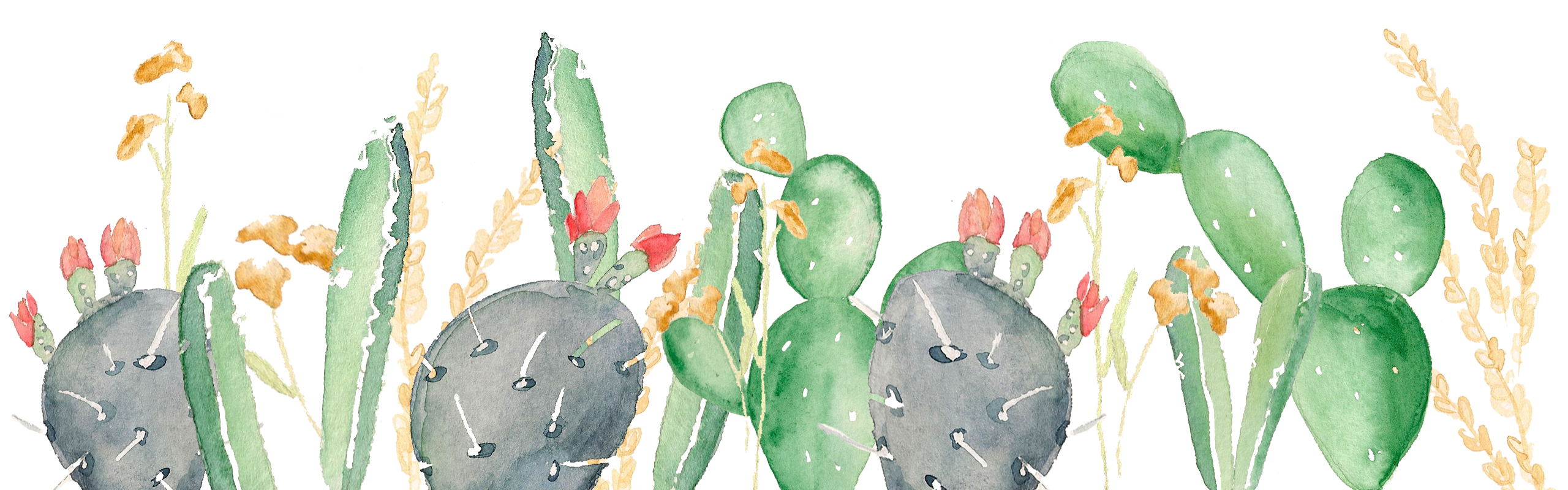 cactus detail