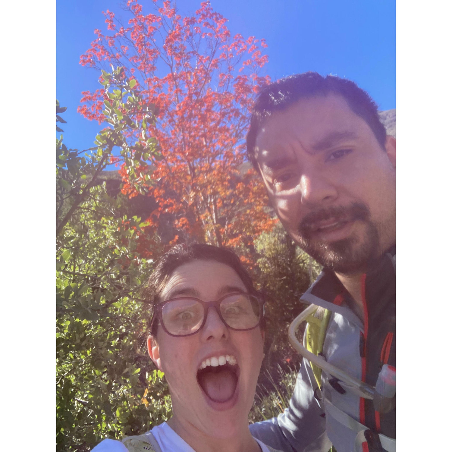 Hiking in McKittrick Canyon... The trees looked like a painting.
- November 6, 2022