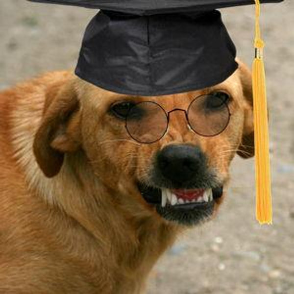 Student Loans Relief