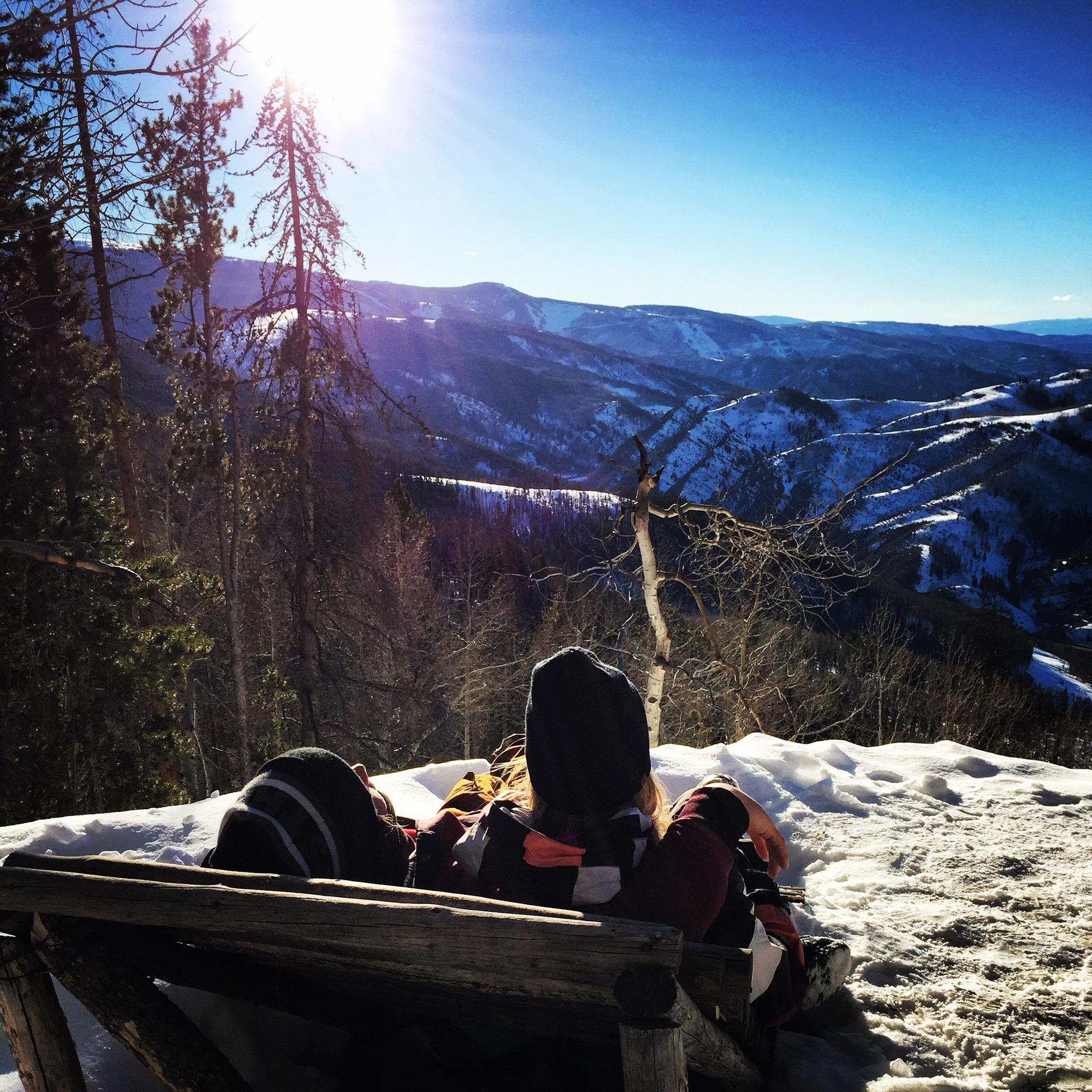 West Vail Trees