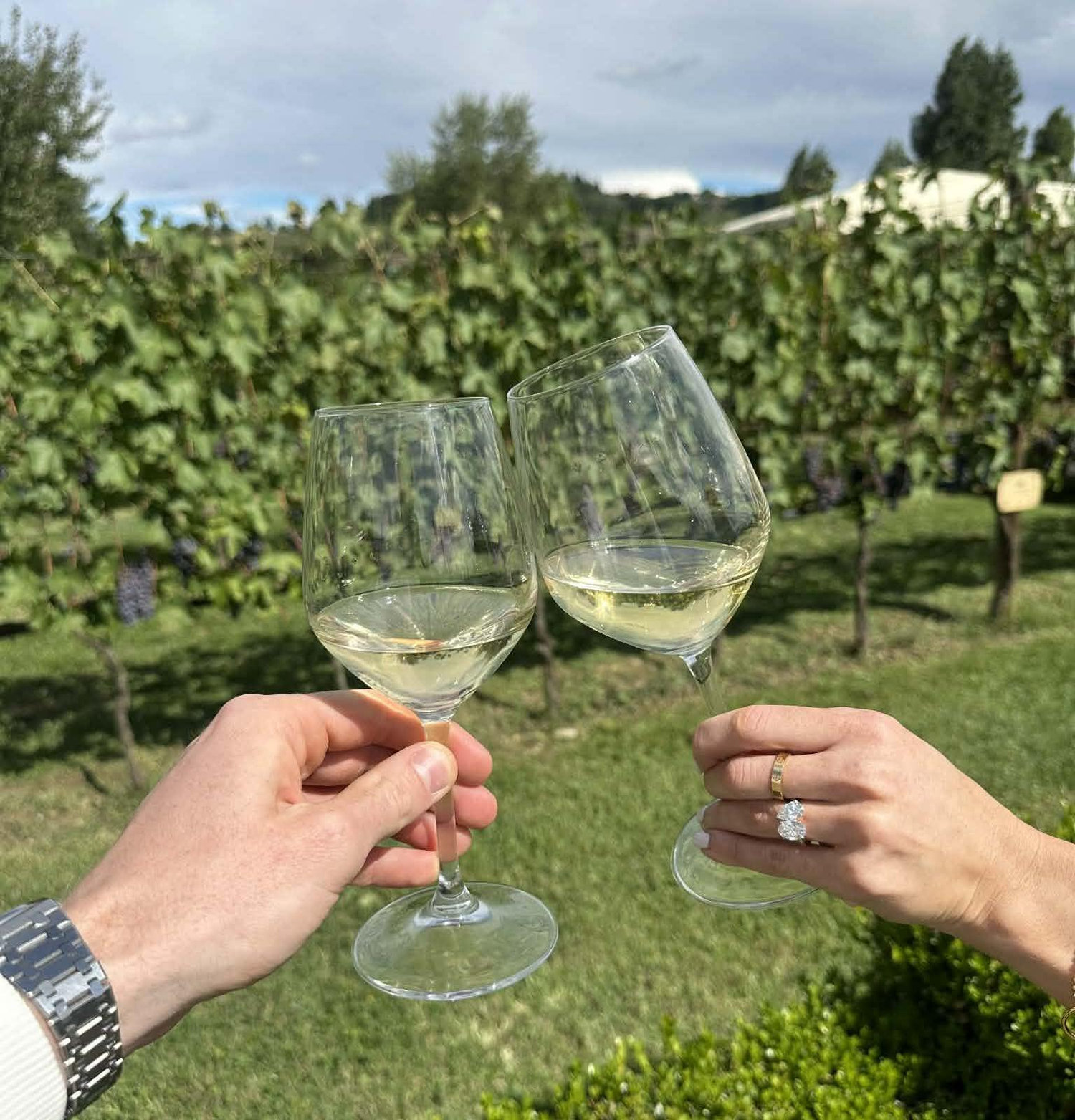 The Wedding Website of Regan Roulston and Dayna Dennett