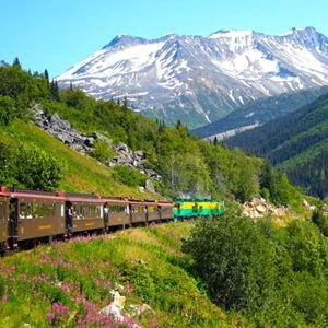 Skagway - White Pass Summit Tickets