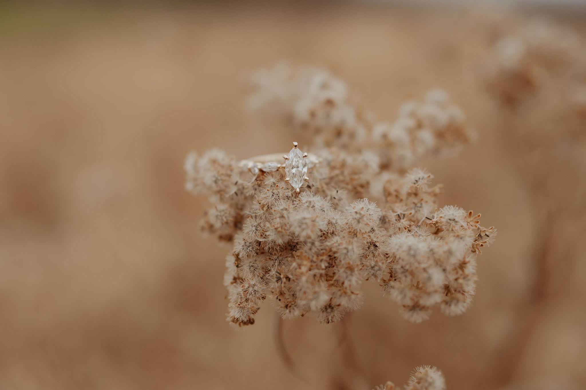 The Wedding Website of Paiyton Burnett and Cody Pogue