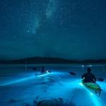 Mosquito Bay Beach
