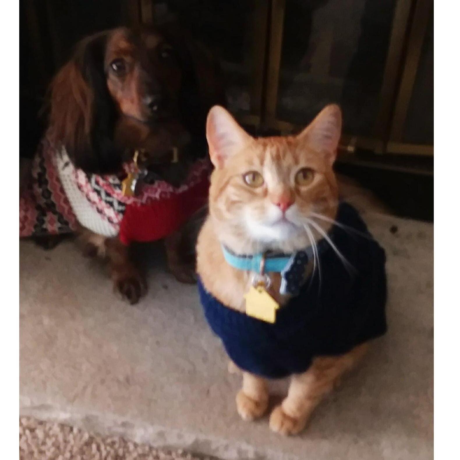 Our boys, Charlie and Oliver.