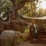Elephant cafe breakfast