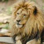 Idaho Falls Zoo at Tautphaus Park