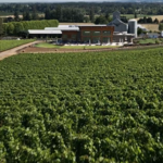 Stoller Family Estate