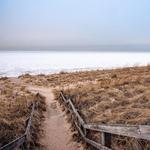Indiana Dunes State Park