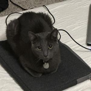 Luna's College Fund