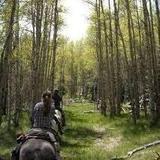 Bear Basin Ranch