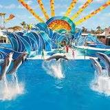 Sea World Drive