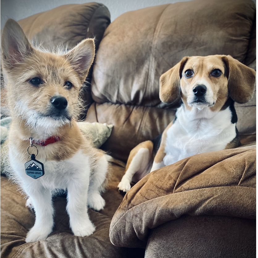 Scott's favorite girls (beside his Fiancé).
Sophie (left) and Winnie (right).