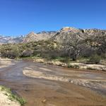 Catalina State Park