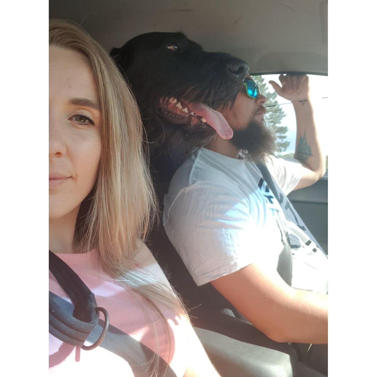 Always road trip ready