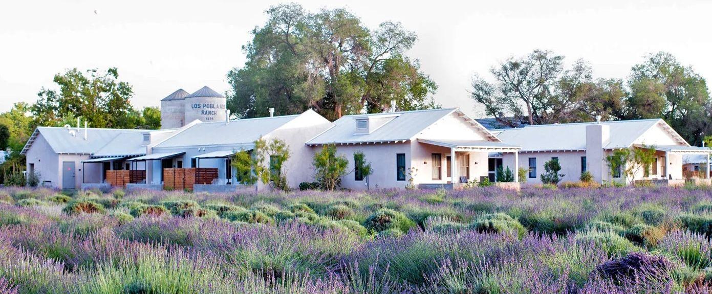 The Wedding Website of Hannah Walsh and Matthew Mulkey