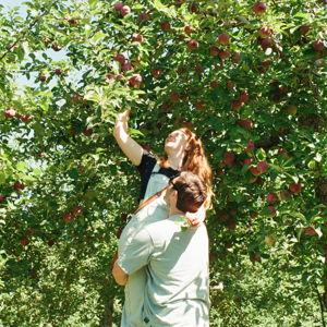 Plants & Gardening Fund