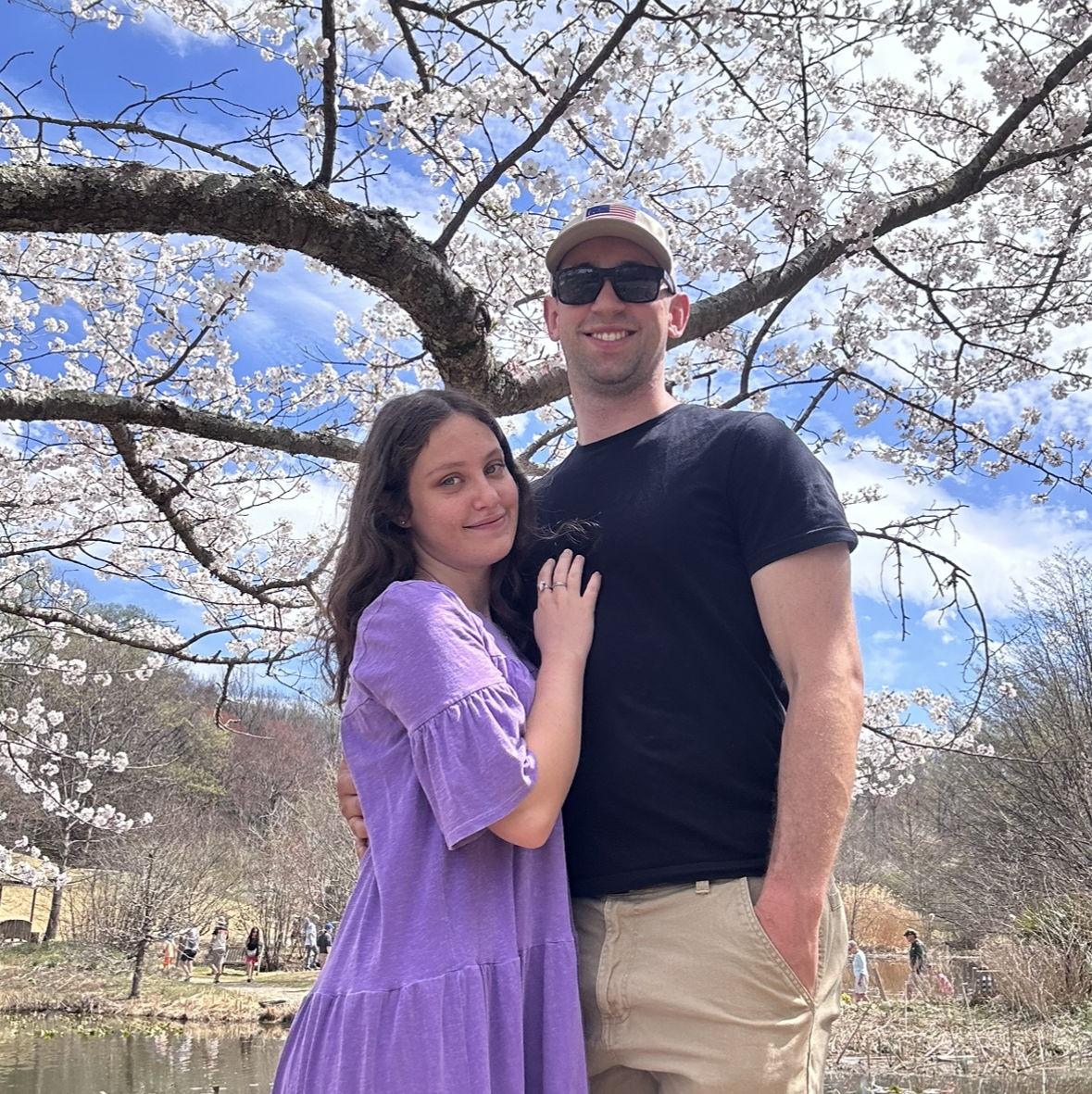 Cherry blossoms