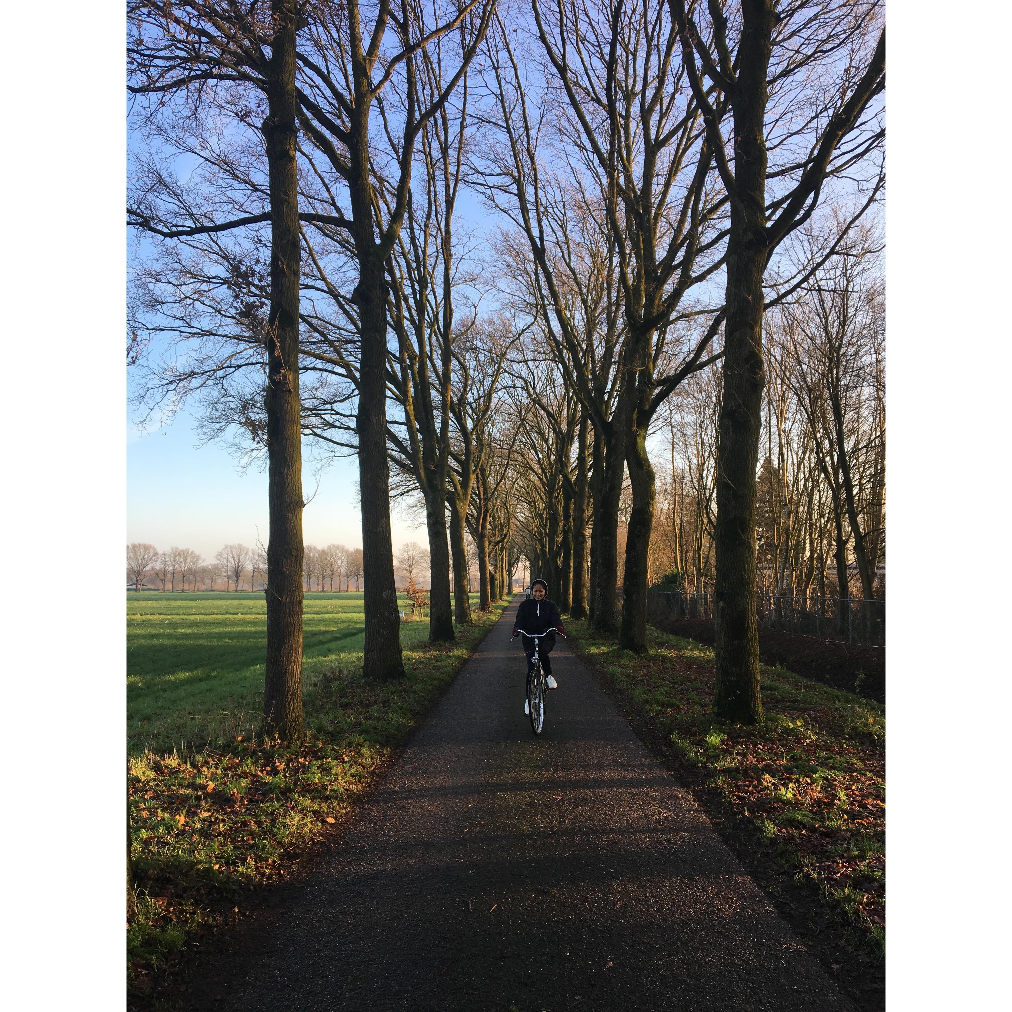 North Brabant, Netherlands 2020