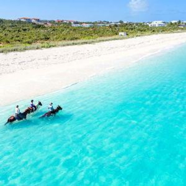 Honeymoon Horseback Ride