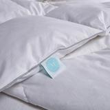 240-Thread Count 95/5 Feather and Down Comforter