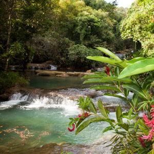 Honeymoon Activity: Black River Safari and Y.S. Falls