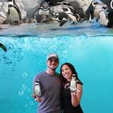 OdySea Aquarium