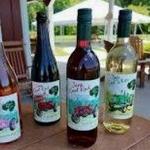 Layton's Chance Vineyard & Winery