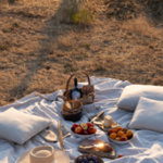 Luxury Private Picnic