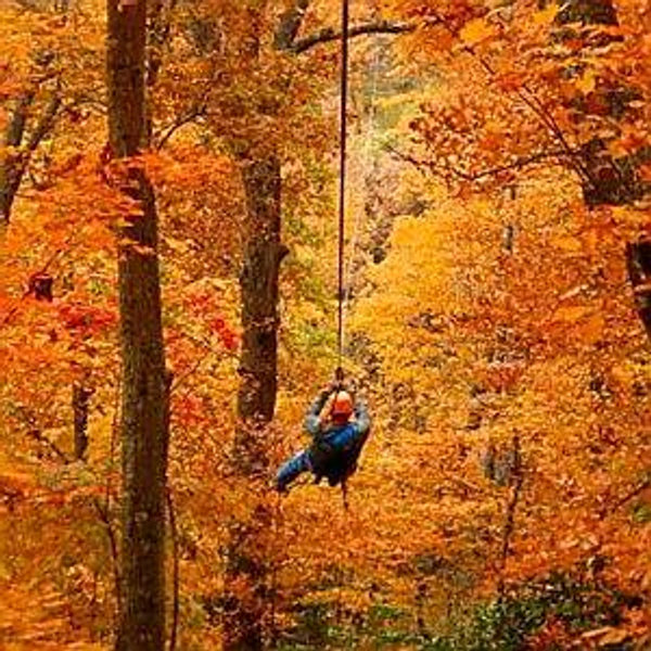 Zipline Adventure