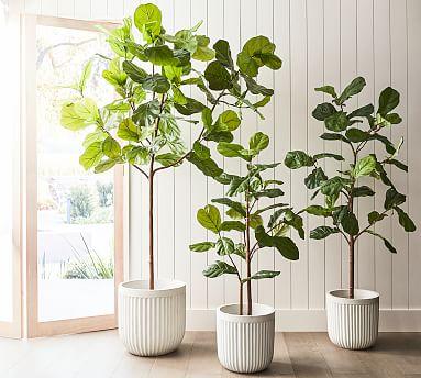 Faux Potted Fiddle Leaf Fig Trees, 5ft
