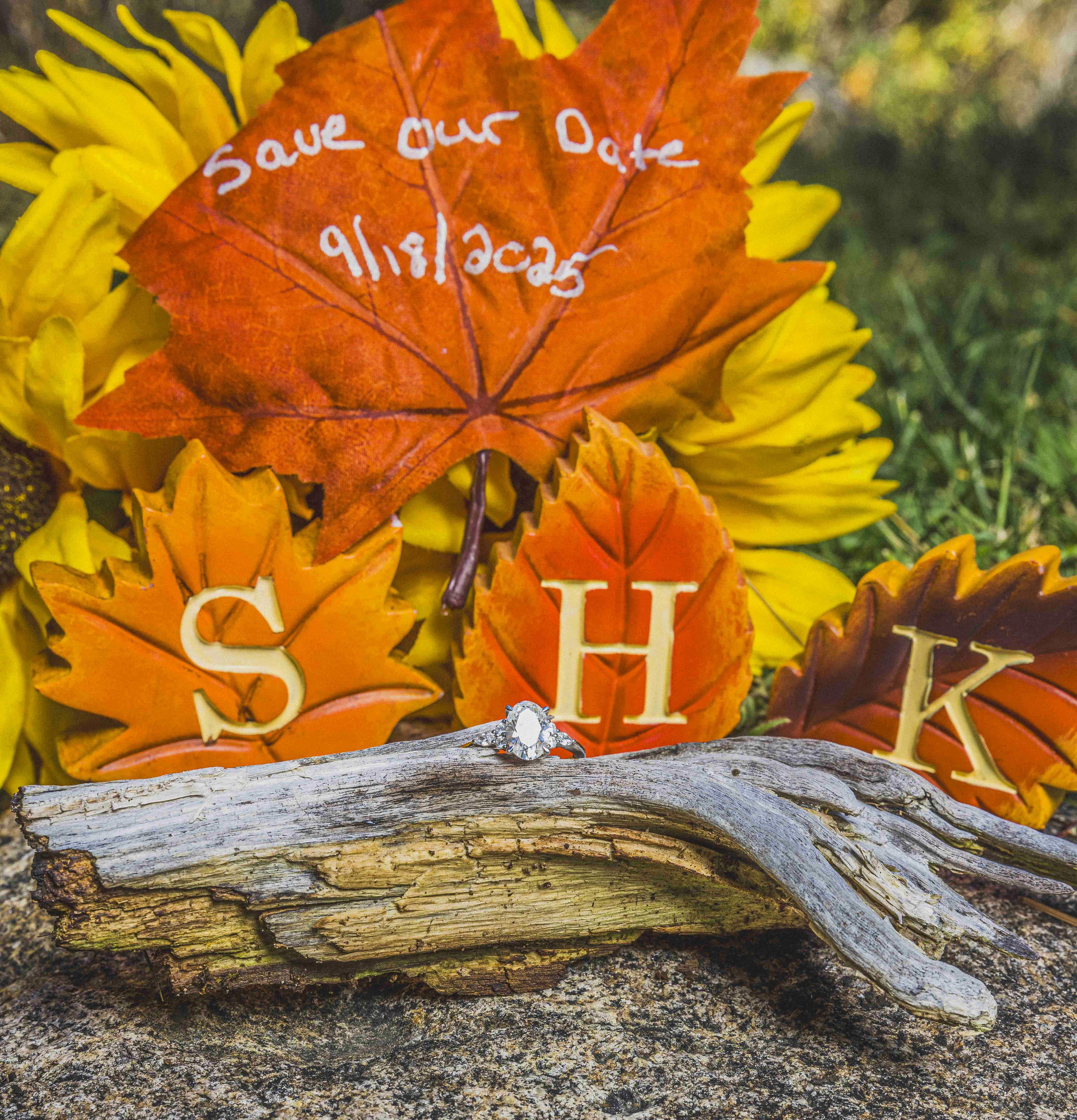 The Wedding Website of Kendra Berndt and Seth Hoffman