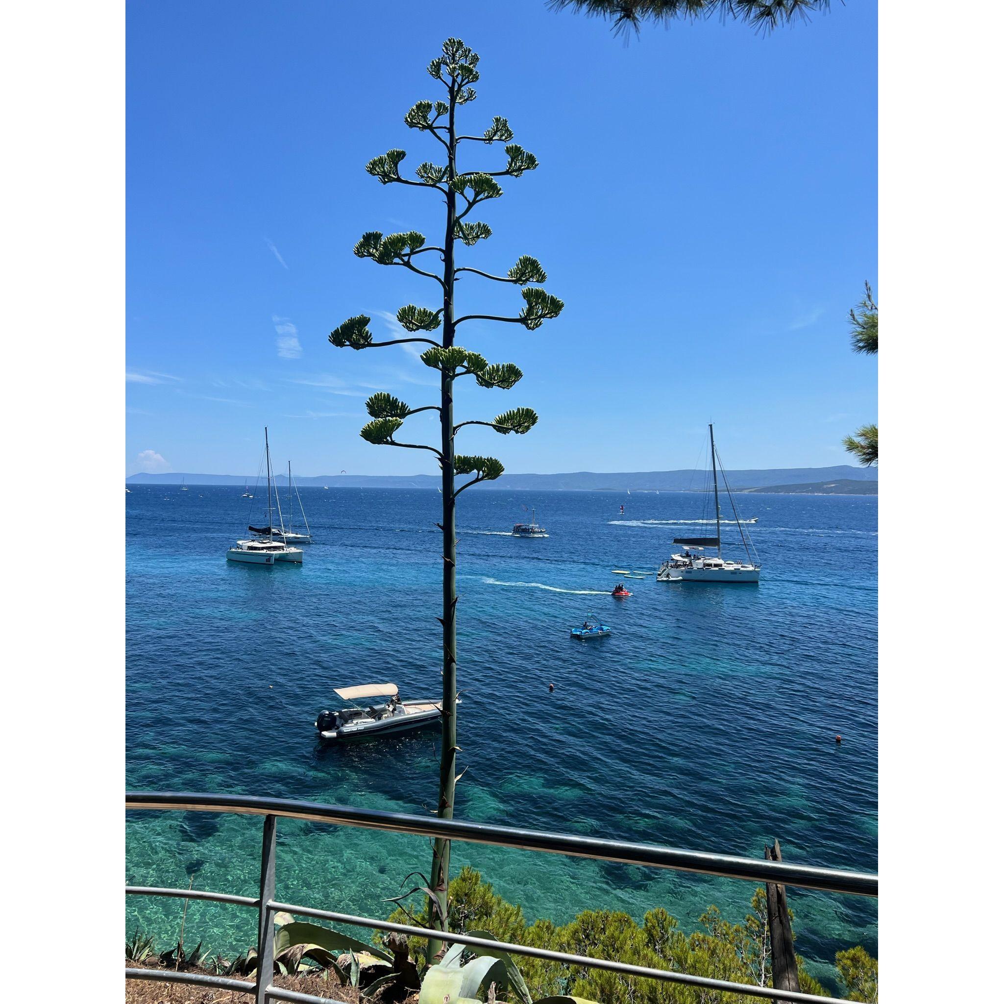 Bol, Croatia