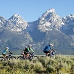 Teton Mountain Bike Tours