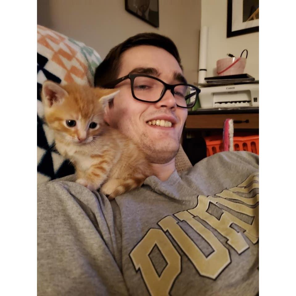 Surprise! We adopted Miss Cheddar!